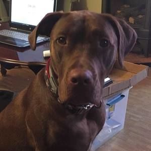 Meet your Posher, Chrissy